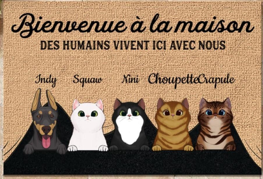 Chez Sophie Et Thibault Hotel Sceaux-du-Gatinais Екстериор снимка